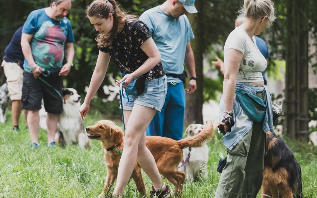 Jak wybrać zajęcia dla Twojego psa?