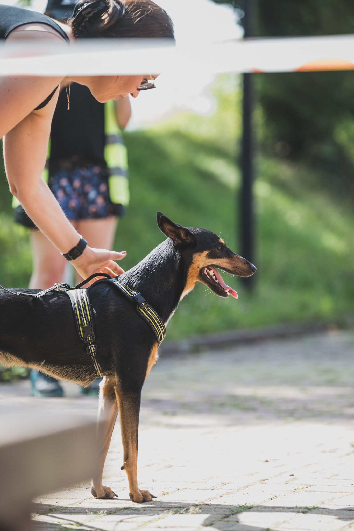 DOGtandem-nosework_107