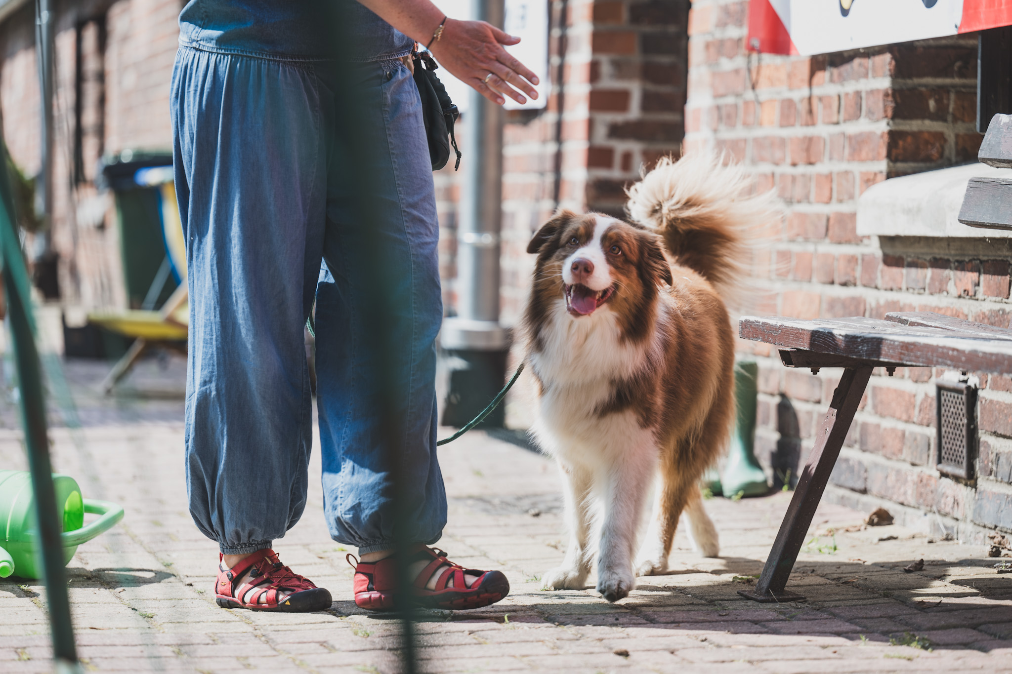 DOGtandem-nosework_120