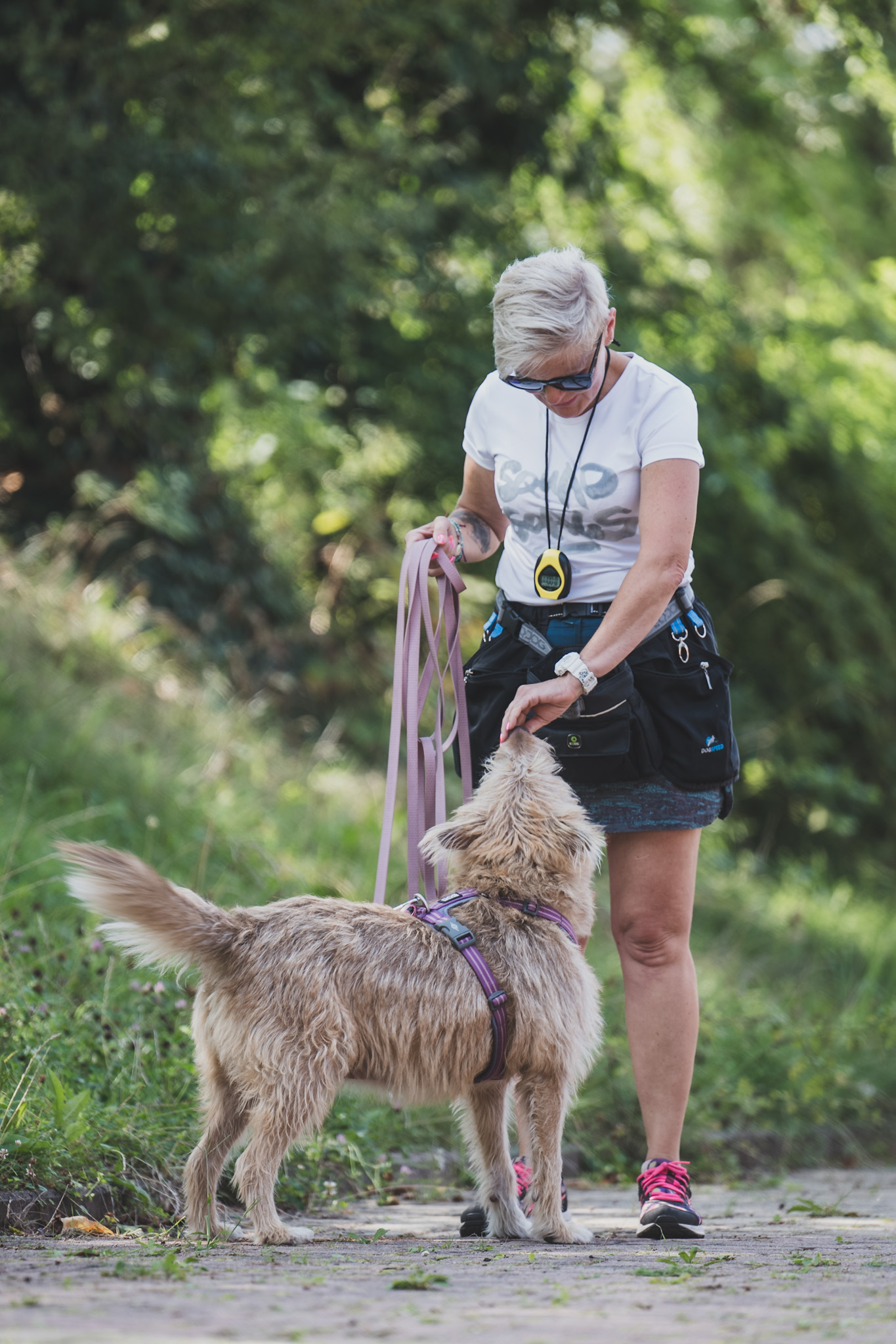 DOGtandem-nosework_19