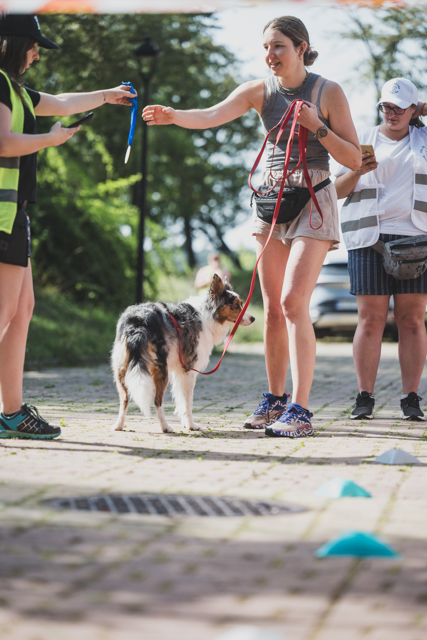 DOGtandem-nosework_36