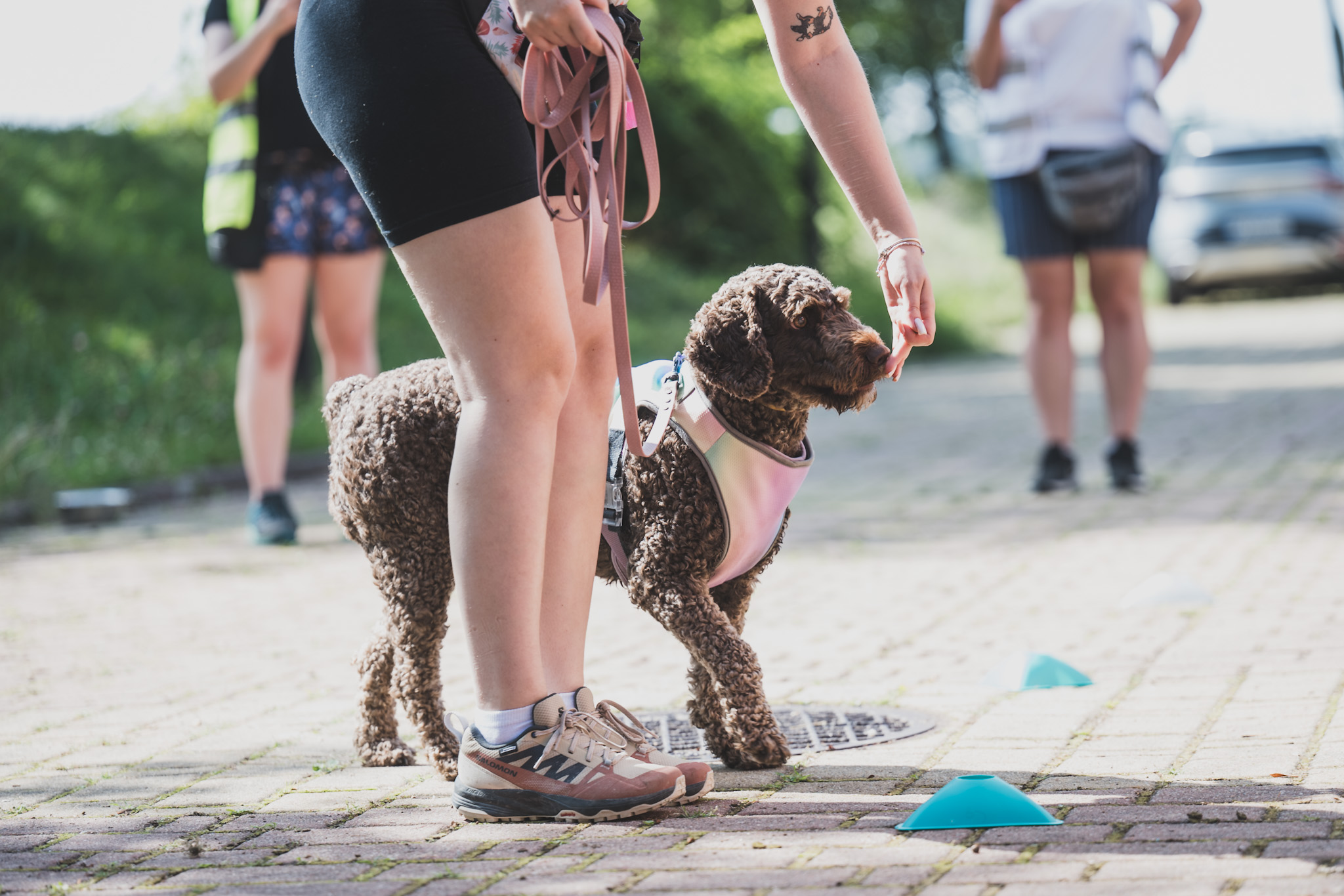 DOGtandem-nosework_61