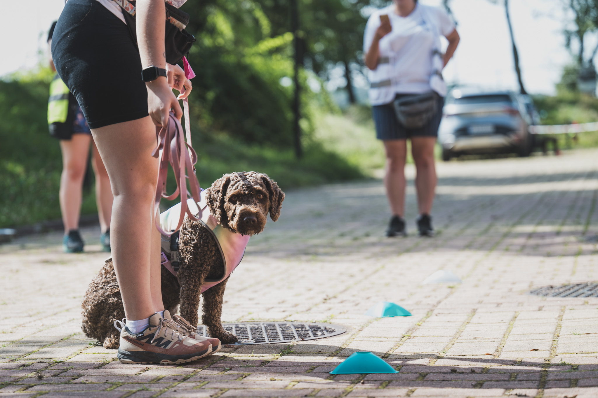 DOGtandem-nosework_62