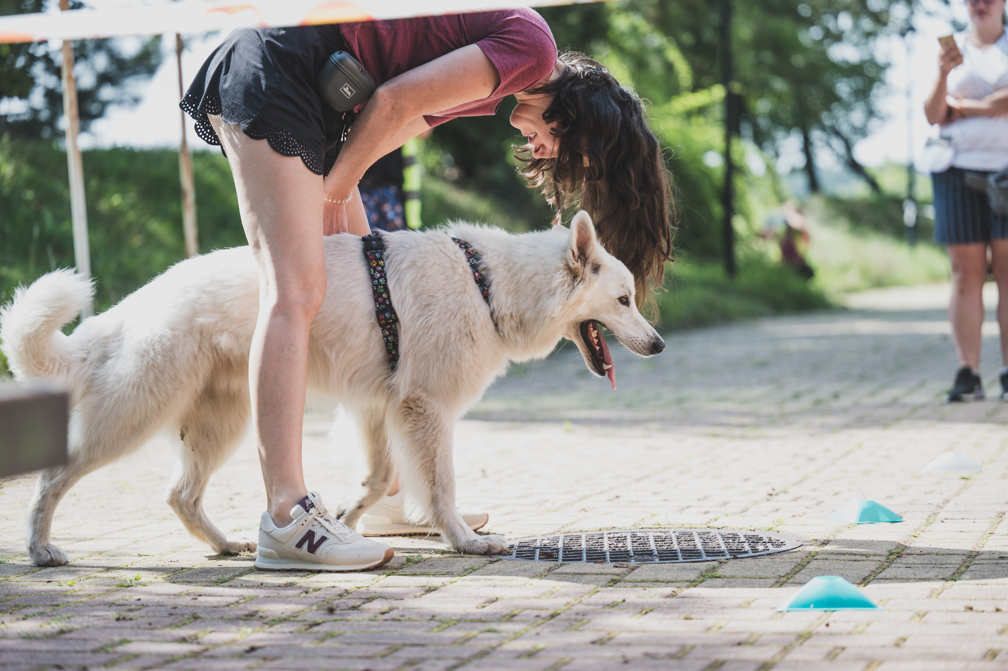 DOGtandem-nosework_67