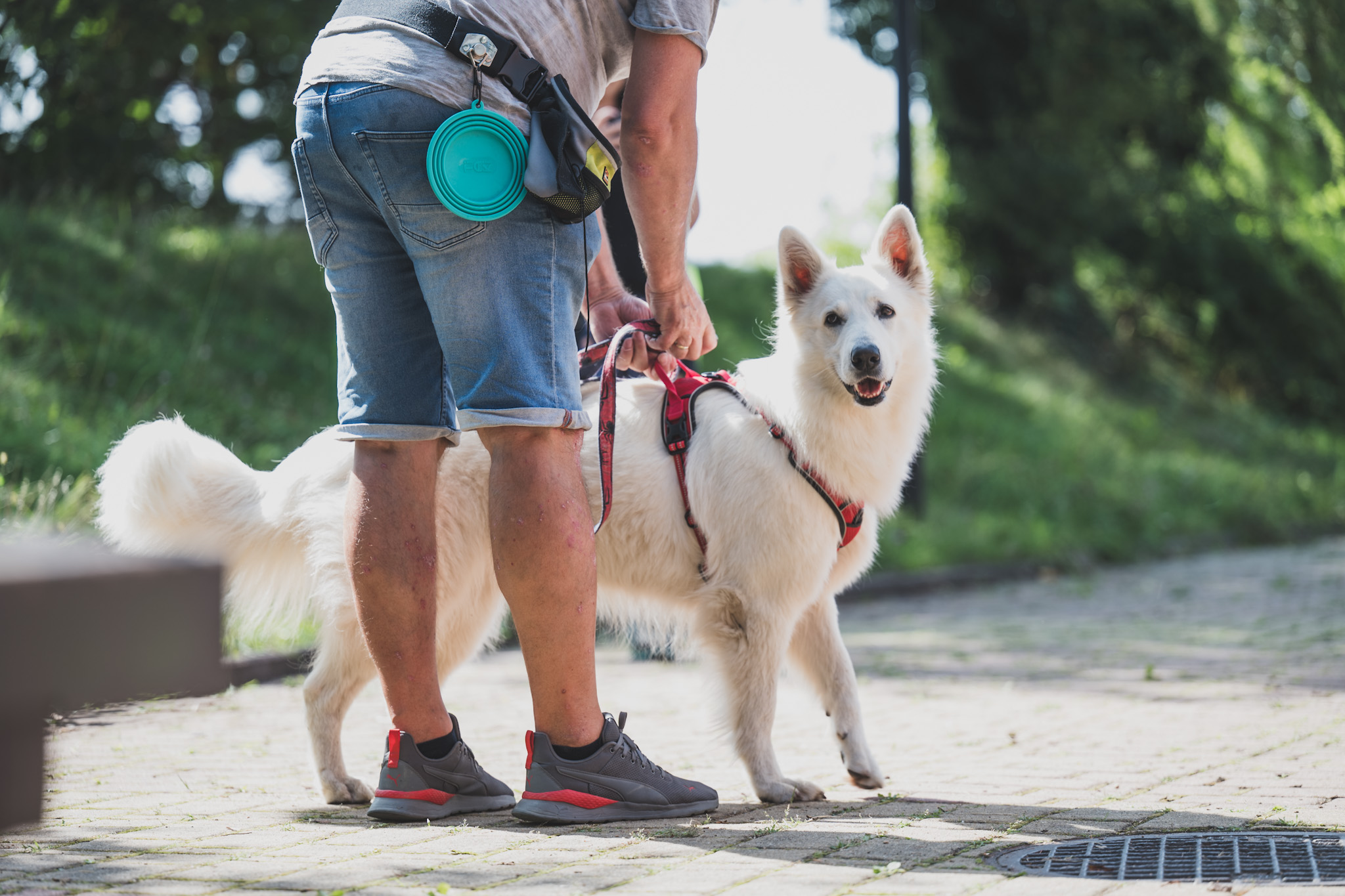 DOGtandem-nosework_76